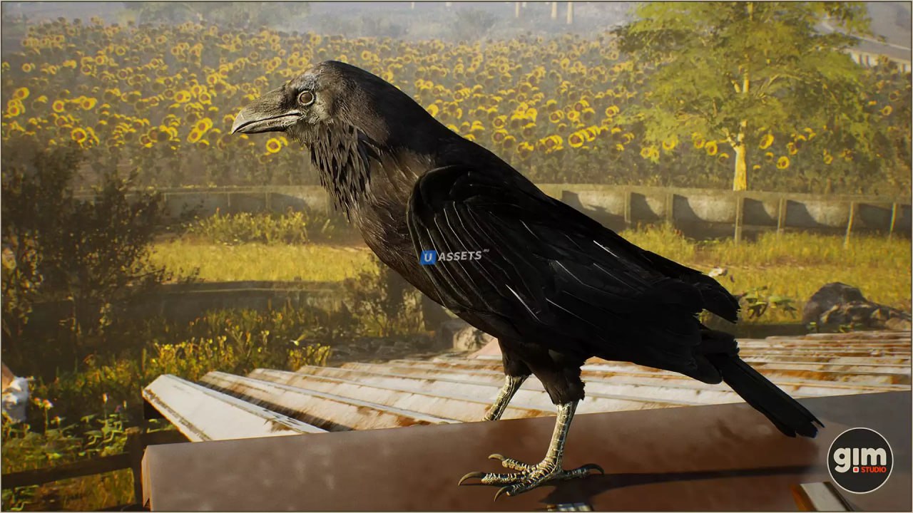 Animalia - Raven📱 - изображение 2